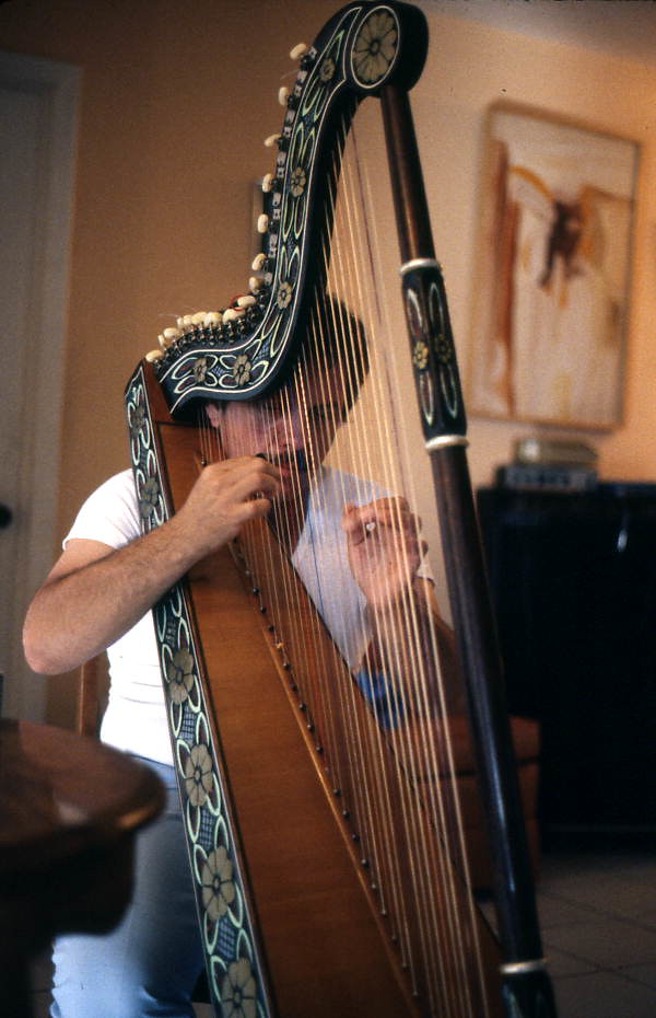 Image result for harp