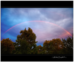 Rainbow in my backyard - 08122012