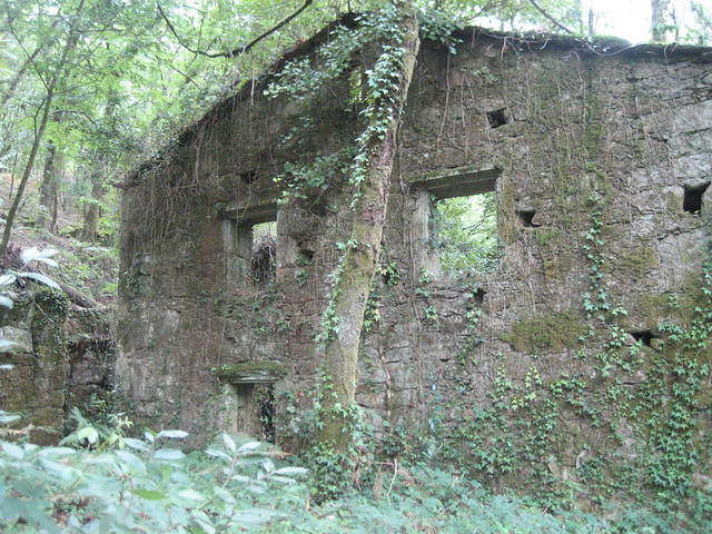 Papelera abandonada en la ruta dos ríos de Vilacoba e San Xusto