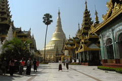Yangon : Shwedagon Pagoda