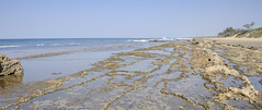 Xai Xai beach intertidal rocks