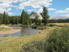 Tuolumne River and Lember Dome - Tuolumne Meadows  8-24-2012 iw