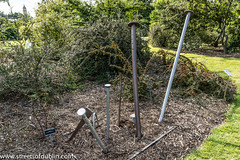 Bed Of Nails by Alan Corrigan & Finbar O'Neill: Sculpture In Context 2012 at the National Botanic Gardens