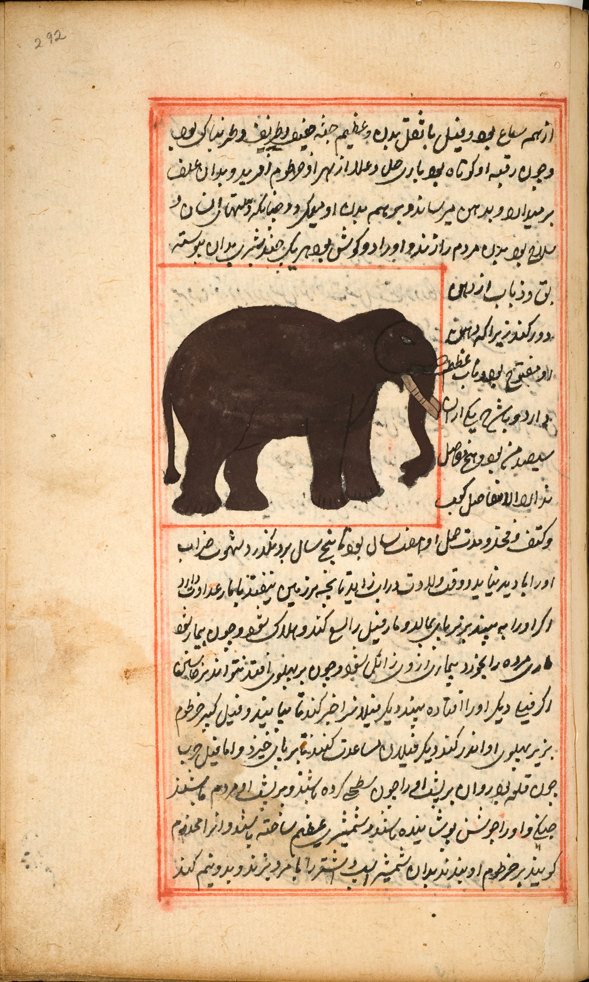 До и после слона. Атака слонов в год рождения Мухаммада