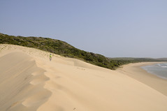 Dunes at Ponta Milibangalala