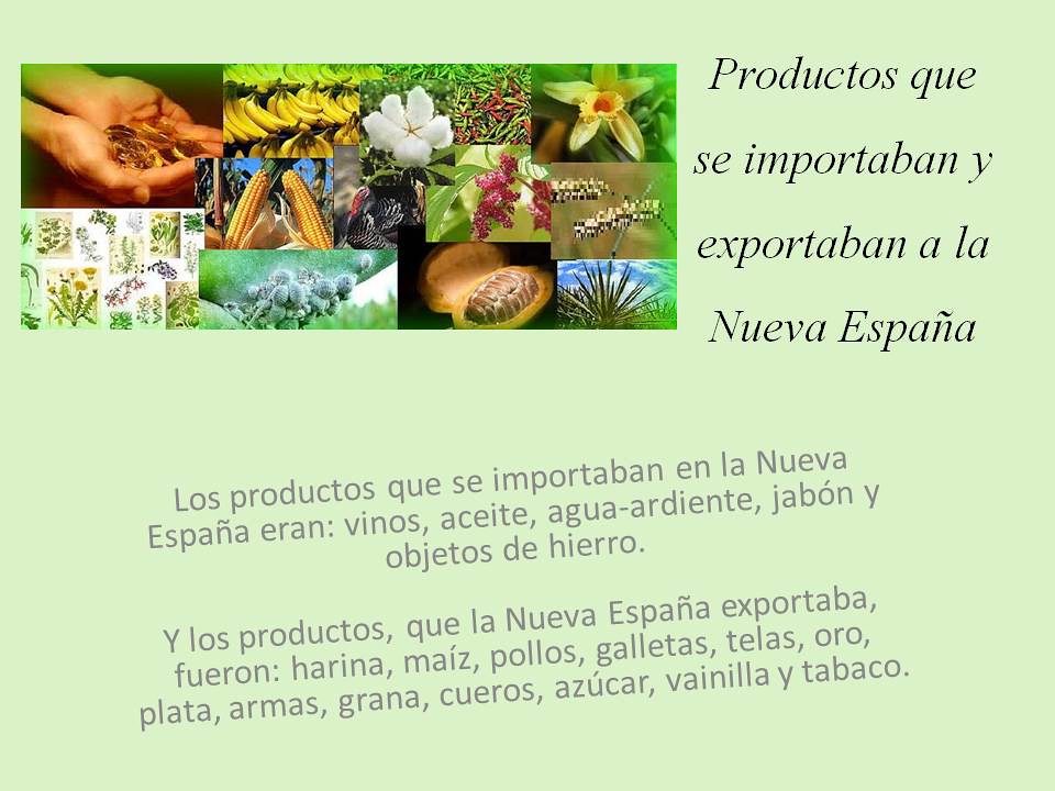 Productos que comercializaba la Nueva España | Mitchel Blancas Alva