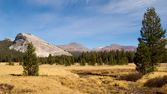 Mount Dana (13,061', 2nd tallest in park) and Mount Gibbs (12,773') Tioga pass is to the north of Mt Dana, Mono pass to the south of Mt Gibbs.