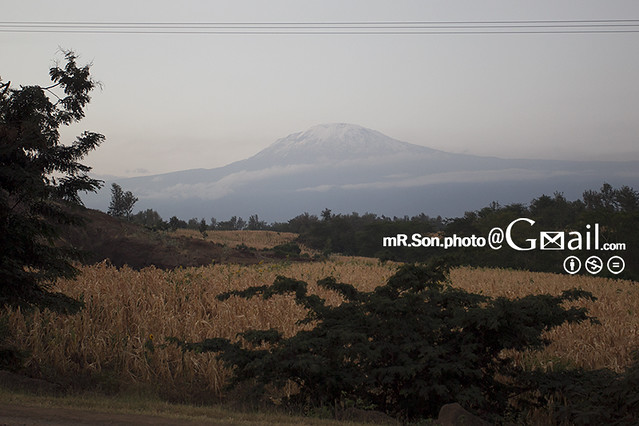 킬리만자로/Mount Kilimanjaro