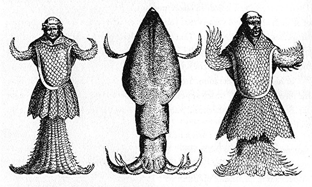 16世紀被發現於丹麥海岸的海僧（Sea Monk）。圖片來源：wikipedia。