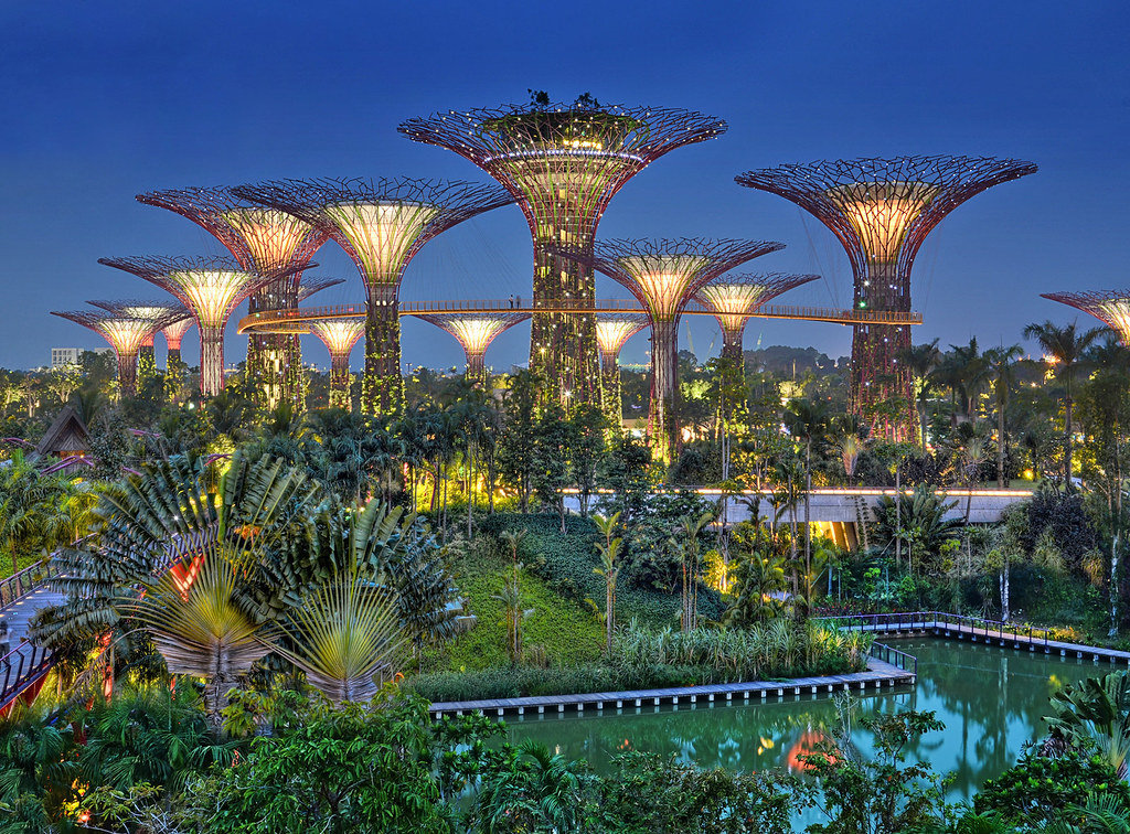 From the Dragonfly Bridge at Gardens by the Bay, Supertree… | Flickr