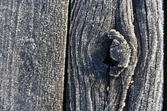 Frosted Wood