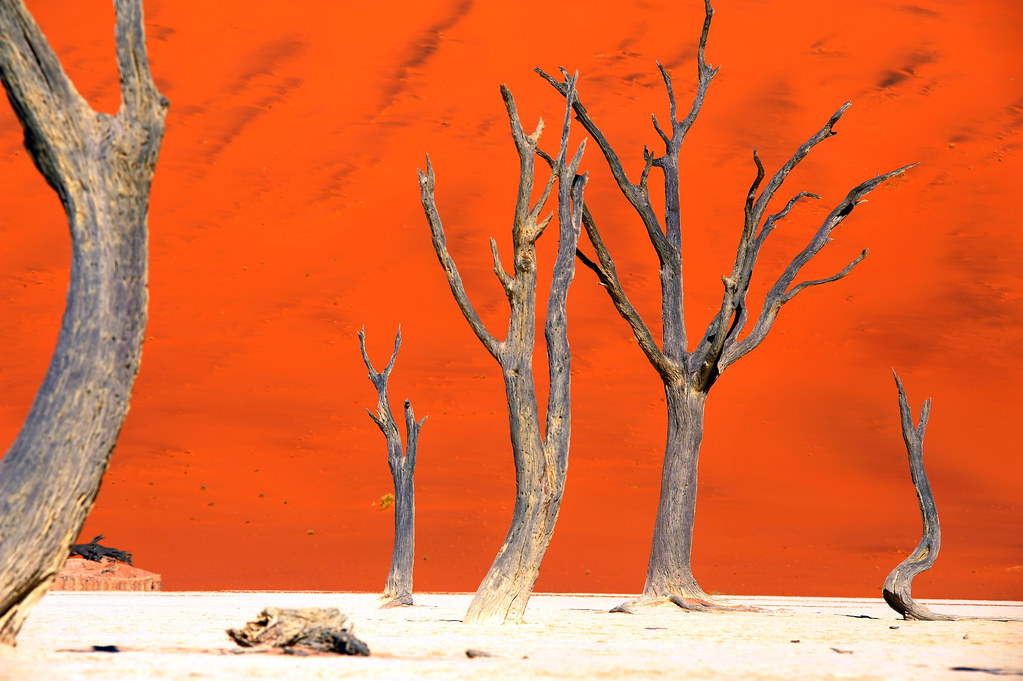 Deadvlei: A Witness To Eternity - The Monsoon Diaries