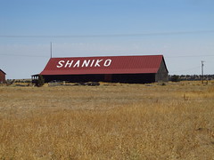 Shaniko, Oregon