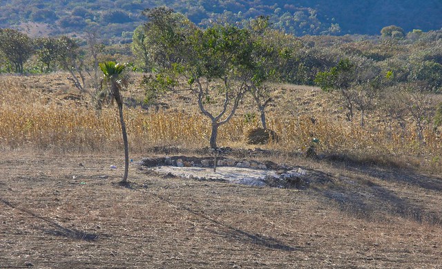 Wheat threshing area - lugar para trillar el trigo; Región Mixteca, Oaxaca, Mexico