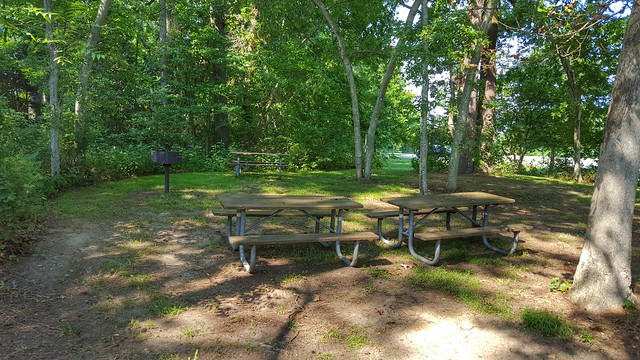 Bring a picnic or charcoal and cook out on the pedestal grill at the picnic area at Belle Isle State Park, Virginia