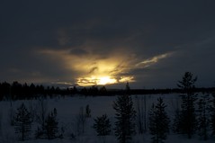 Arctic sun 10.36 am