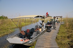 Safari group at dock at Camp Okavango Botswana-03 9-8-10