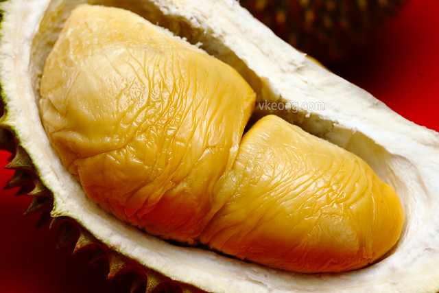Durian D24 Sinnaco