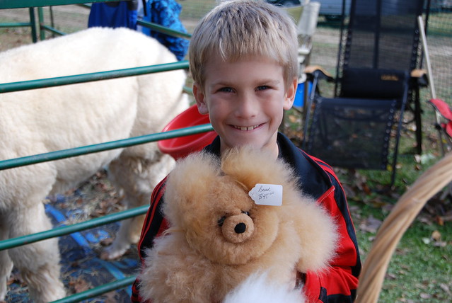 Teddy Bear made from Alpaca wool at Caledon State Park, Virginia