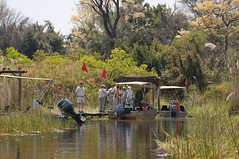 Safari group at dock at Camp Okavango Botswana-01 9-8-10