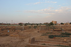 Hamad al-Neel Cemetery (34)