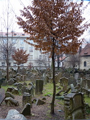 Prague - Jewish cemetery