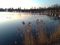Morning, Central Park reservoir Jan 2013
