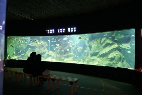 上越市立水族博物館ナイトツアー
