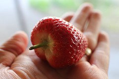 strawberry in hand