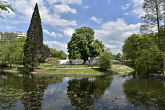 L'étang du parc d'Avroy