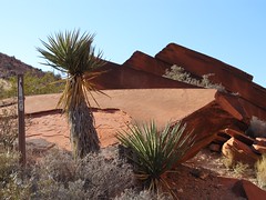 Petroglyphs, Calico Hills, Red Rock Canyon National Recreation Area, Las Vegas, Nevada