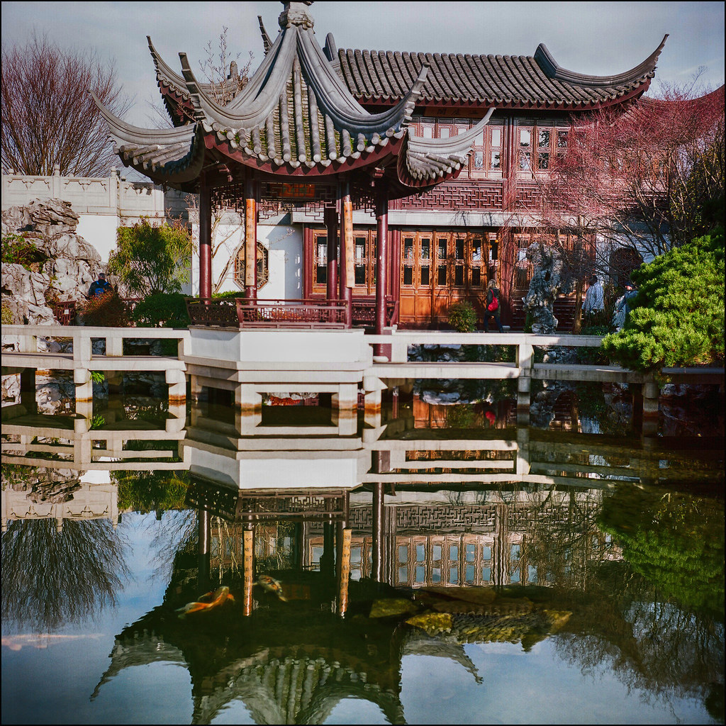 Lan Su Chinese Garden ~ Portland, OR