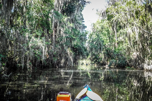 Lowcountry Unfiltered at Okefenokee-096