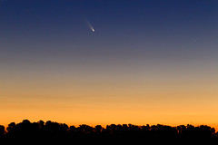 Comet At Twilight