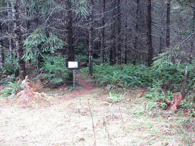 Trail sign in the Alsea Falls Recreation Area