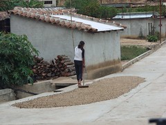 Drying coffee beans in the street - secando el café en la calle; San Juan Juquila Mixes, Región Mixes, Oaxaca, Mexico