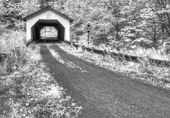 Hutchins Covered Bridge [infrared]