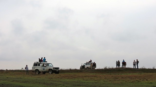 Jeep safari on los llanos