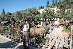 IL09 2085 Indy @ the Church of All Nations, Mount of Olives, Jerusalem ירושלים