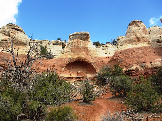 Canyon of the Ancients National Monument