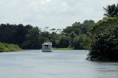 On The Amazon At Santarem
