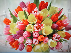 Bouquet de Tulipes.
