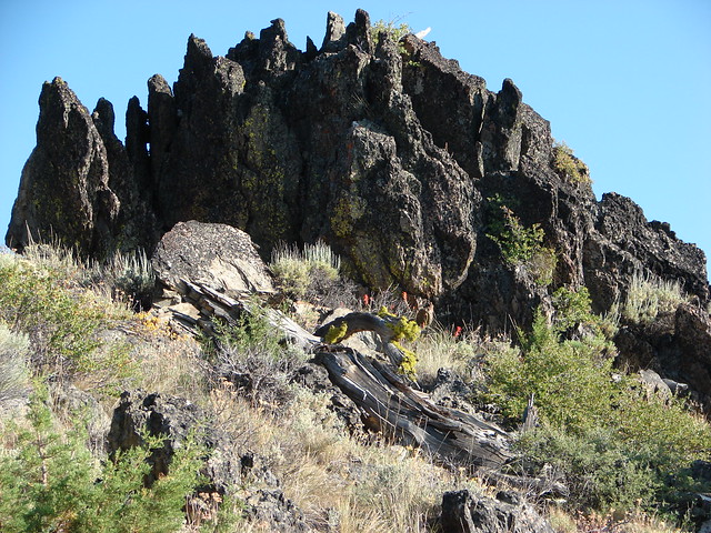 Rock outcrop on Pine Mountain
