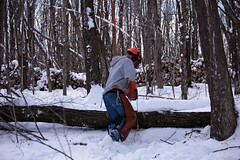 Winter Logging 01