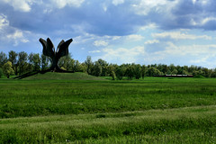 Jasenovac koncentrationslejr