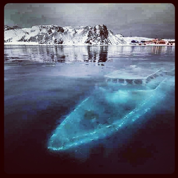 antarctica sunken yacht