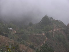 Sierra Mixe en la neblina - Mounatins of the Mixes in fog; cerca de Santa María Tepantlali en el camino a San Juan Juquila Mixes, Región Mixes, Oaxaca, Mexico