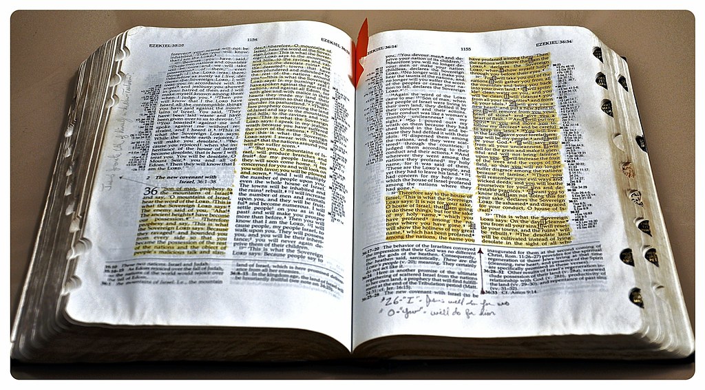 ryrie-study-bible-kye-riggle-flickr