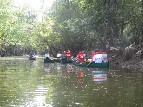 Volunteers on the bayou