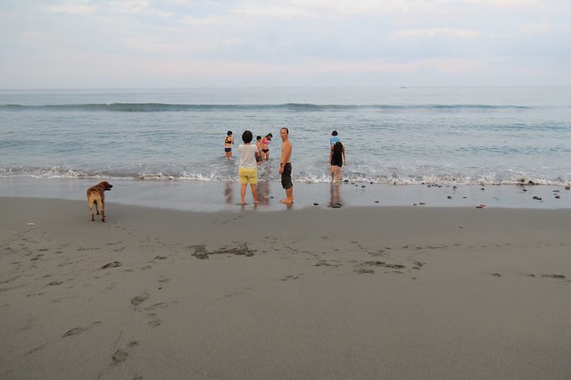 沒有消波塊的阻隔，「豐和號」觀海亭附近自然海岸上親海戲浪的人群。圖片來源：賴威任。